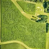 Creekbed Country Farmacy Corn Maze photo