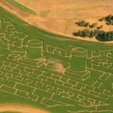 Creekbed Country Farmacy Corn Maze photo