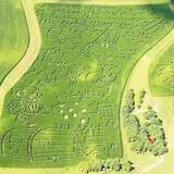 Creekbed Country Farmacy Corn Maze photo