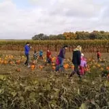 Creekbed Country Farmacy Corn Maze photo
