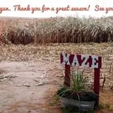 Creekbed Country Farmacy Corn Maze photo
