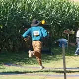 Creekbed Country Farmacy Corn Maze photo