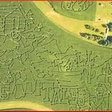 Creekbed Country Farmacy Corn Maze photo