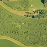 Creekbed Country Farmacy Corn Maze photo