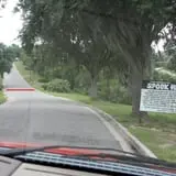 Our haunted cornfield always gets 'em...