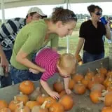 Campbell's Maze Daze Haunted Corn Maze photo