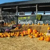 Campbell's Maze Daze Haunted Corn Maze photo
