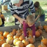 Campbell's Maze Daze Haunted Corn Maze photo