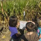 Campbell's Maze Daze Haunted Corn Maze photo