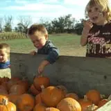 Campbell's Maze Daze Haunted Corn Maze photo