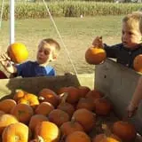Campbell's Maze Daze Haunted Corn Maze photo