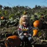 Campbell's Maze Daze Haunted Corn Maze photo