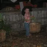 Trombly Gardens Corn Maze & Hayride photo