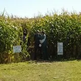Trombly Gardens Corn Maze & Hayride photo