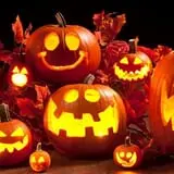 Trombly Gardens Corn Maze & Hayride photo