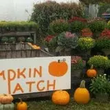 Trombly Gardens Corn Maze & Hayride photo