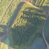 Trombly Gardens Corn Maze & Hayride photo