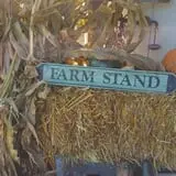 Trombly Gardens Corn Maze & Hayride photo
