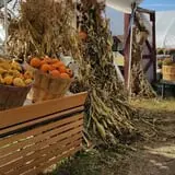 Trombly Gardens Corn Maze & Hayride photo