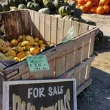 Trombly Gardens Corn Maze & Hayride photo