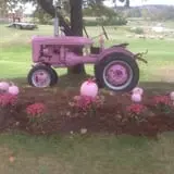 Trombly Gardens Corn Maze & Hayride photo