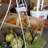 Trombly Gardens Corn Maze & Hayride photo