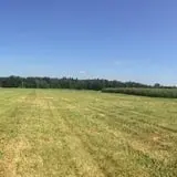 Trombly Gardens Corn Maze & Hayride photo