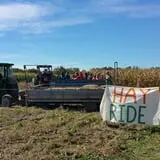 Trombly Gardens Corn Maze & Hayride photo