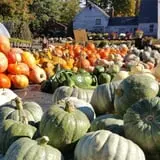 Trombly Gardens Corn Maze & Hayride photo