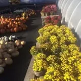 Trombly Gardens Corn Maze & Hayride photo