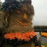 Trombly Gardens Corn Maze & Hayride photo