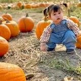 Harvest Festival at Swans Trail Farms