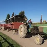 Harvest Festival at Swans Trail Farms