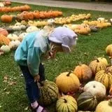 The Little Farmer Orchard & Farm Market photo