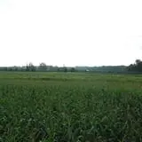 The Little Farmer Orchard & Farm Market photo
