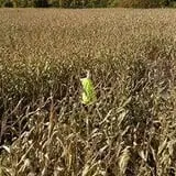 The Little Farmer Orchard & Farm Market photo