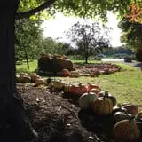 The Little Farmer Orchard & Farm Market photo