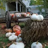 The Little Farmer Orchard & Farm Market photo