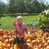 The Little Farmer Orchard & Farm Market photo