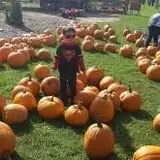 The Little Farmer Orchard & Farm Market photo