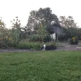 The Little Farmer Orchard & Farm Market photo