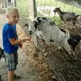 The Little Farmer Orchard & Farm Market photo