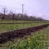 The Little Farmer Orchard & Farm Market photo