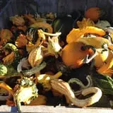 The Little Farmer Orchard & Farm Market photo