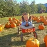 The Little Farmer Orchard & Farm Market photo