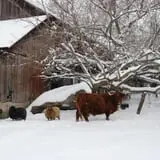 The Little Farmer Orchard & Farm Market photo