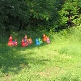 The Little Farmer Orchard & Farm Market photo