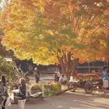 The Little Farmer Orchard & Farm Market photo
