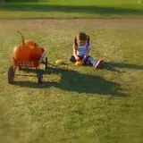 The Little Farmer Orchard & Farm Market photo