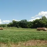 The Little Farmer Orchard & Farm Market photo